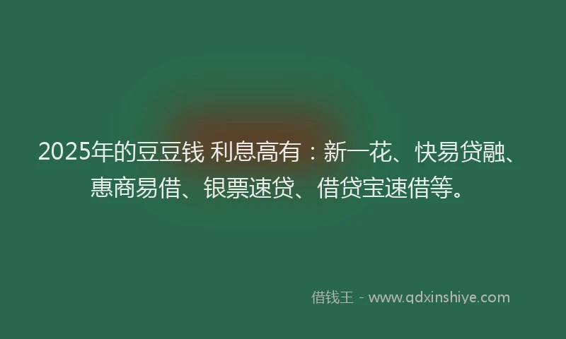 2025年的豆豆钱 利息高有：新一花、快易贷融、惠商易借、银票速贷、借贷宝速借等。