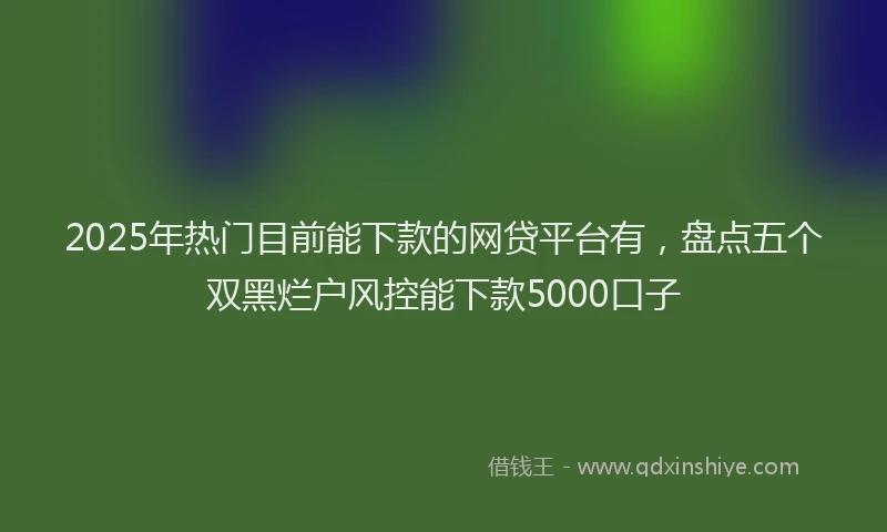 2025年热门目前能下款的网贷平台有，盘点五个双黑烂户风控能下款5000口子