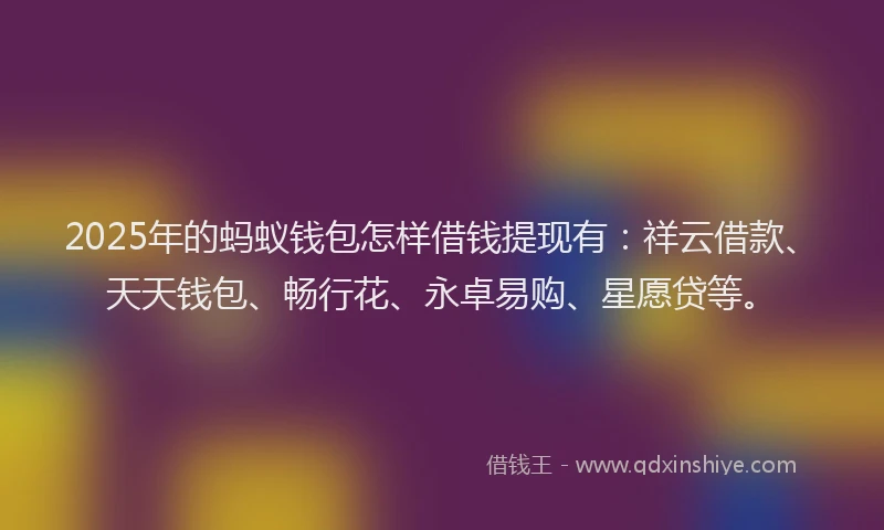 2025年的蚂蚁钱包怎样借钱提现有：祥云借款、天天钱包、畅行花、永卓易购、星愿贷等。