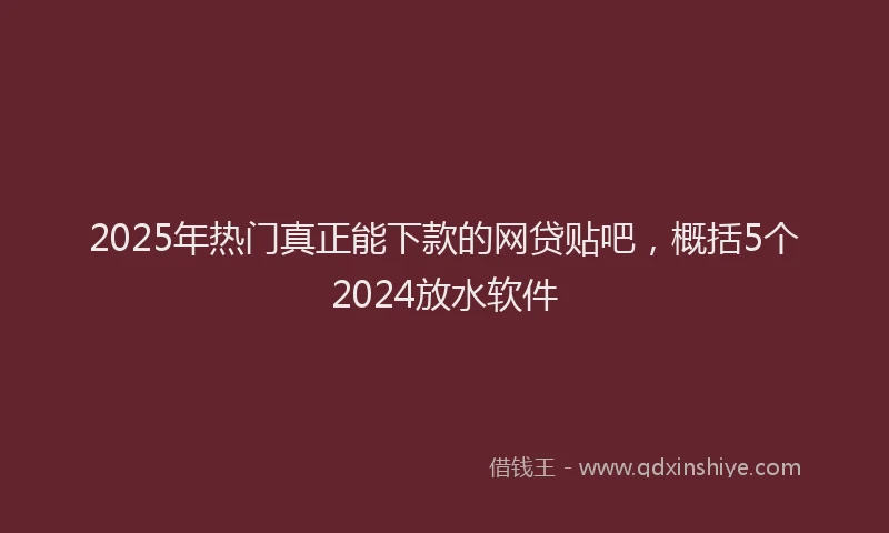 2025年热门真正能下款的网贷贴吧，概括5个2024放水软件