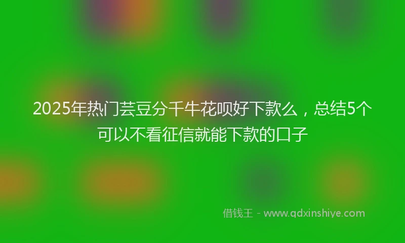 2025年热门芸豆分千牛花呗好下款么，总结5个可以不看征信就能下款的口子
