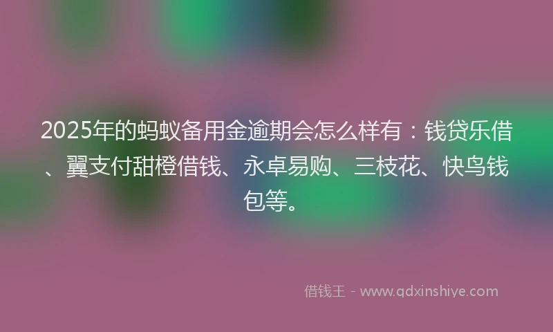 2025年的蚂蚁备用金逾期会怎么样有：钱贷乐借、翼支付甜橙借钱、永卓易购、三枝花、快鸟钱包等。