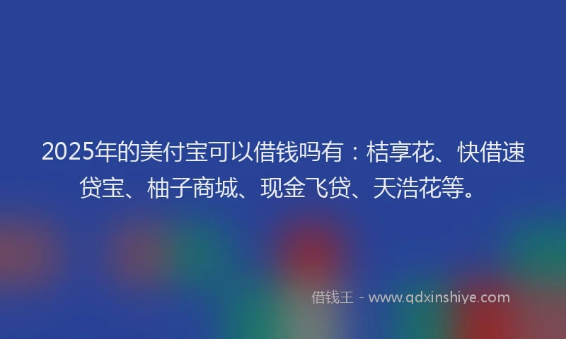 2025年的美付宝可以借钱吗有：桔享花、快借速贷宝、柚子商城、现金飞贷、天浩花等。