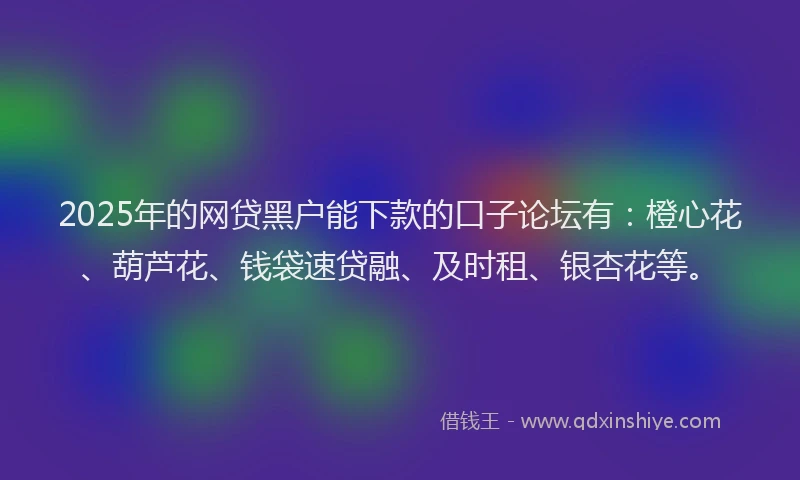 2025年的网贷黑户能下款的口子论坛有：橙心花、葫芦花、钱袋速贷融、及时租、银杏花等。
