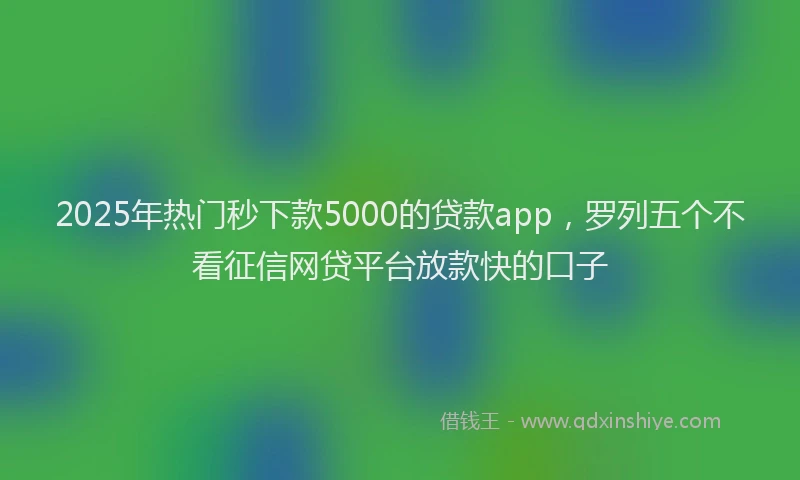 2025年热门秒下款5000的贷款app，罗列五个不看征信网贷平台放款快的口子