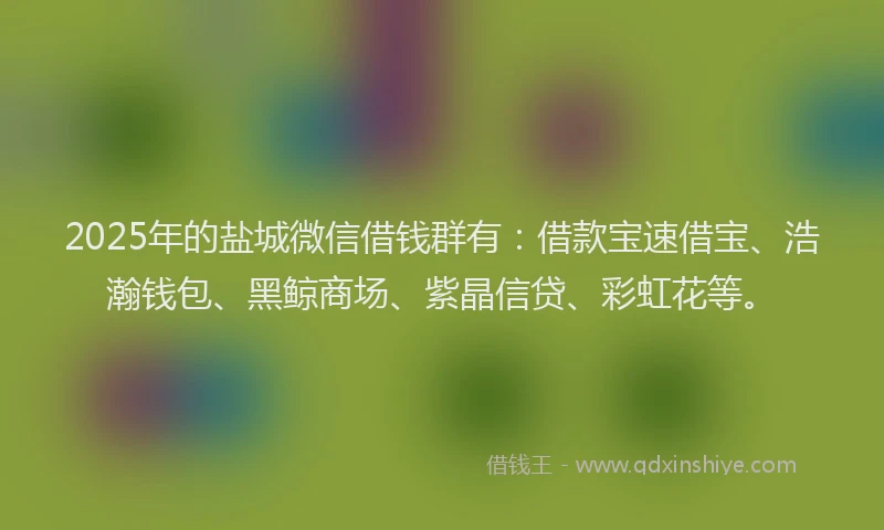 2025年的盐城微信借钱群有：借款宝速借宝、浩瀚钱包、黑鲸商场、紫晶信贷、彩虹花等。