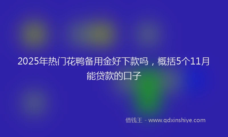 2025年热门花鸭备用金好下款吗，概括5个11月能贷款的口子