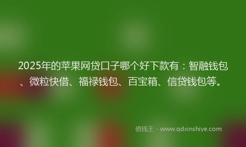 2025年的苹果网贷口子哪个好下款有：智融钱包、微粒快借、福禄钱包、百宝箱、信贷钱包等。