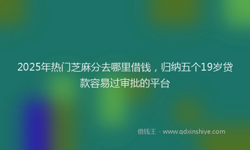 2025年热门芝麻分去哪里借钱，归纳五个19岁贷款容易过审批的平台
