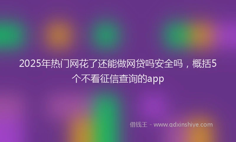 2025年热门网花了还能做网贷吗安全吗，概括5个不看征信查询的app