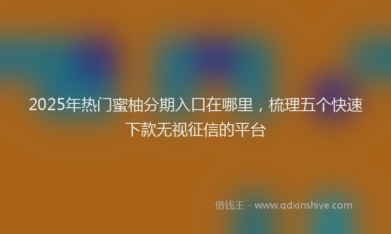 2025年热门蜜柚分期入口在哪里，梳理五个快速下款无视征信的平台