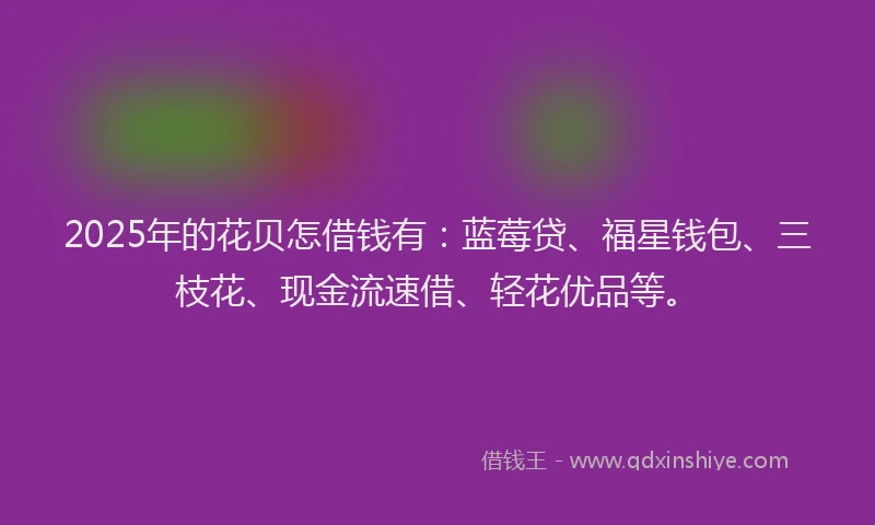 2025年的花贝怎借钱有：蓝莓贷、福星钱包、三枝花、现金流速借、轻花优品等。