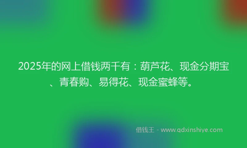 2025年的网上借钱两千有：葫芦花、现金分期宝、青春购、易得花、现金蜜蜂等。