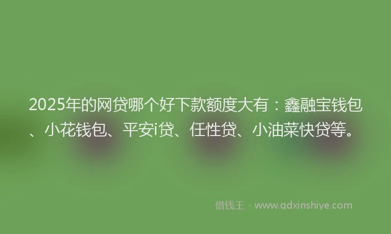 2025年的网贷哪个好下款额度大有：鑫融宝钱包、小花钱包、平安i贷、任性贷、小油菜快贷等。