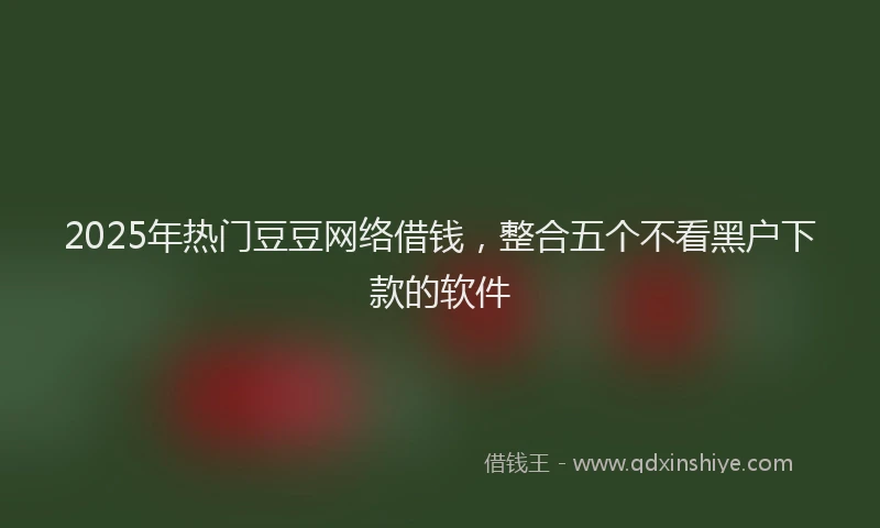 2025年热门豆豆网络借钱，整合五个不看黑户下款的软件
