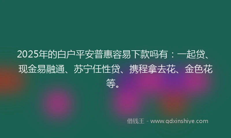 2025年的白户平安普惠容易下款吗有：一起贷、现金易融通、苏宁任性贷、携程拿去花、金色花等。