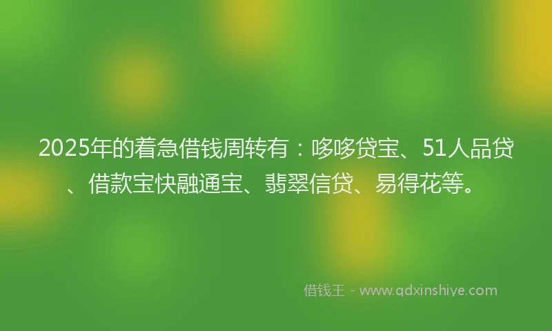 2025年的着急借钱周转有：哆哆贷宝、51人品贷、借款宝快融通宝、翡翠信贷、易得花等。