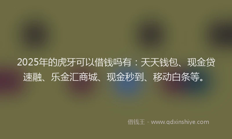2025年的虎牙可以借钱吗有：天天钱包、现金贷速融、乐金汇商城、现金秒到、移动白条等。