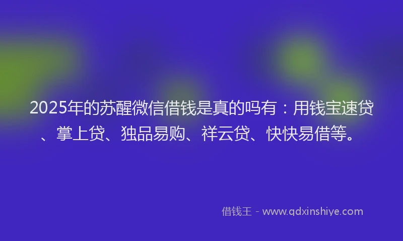 2025年的苏醒微信借钱是真的吗有：用钱宝速贷、掌上贷、独品易购、祥云贷、快快易借等。