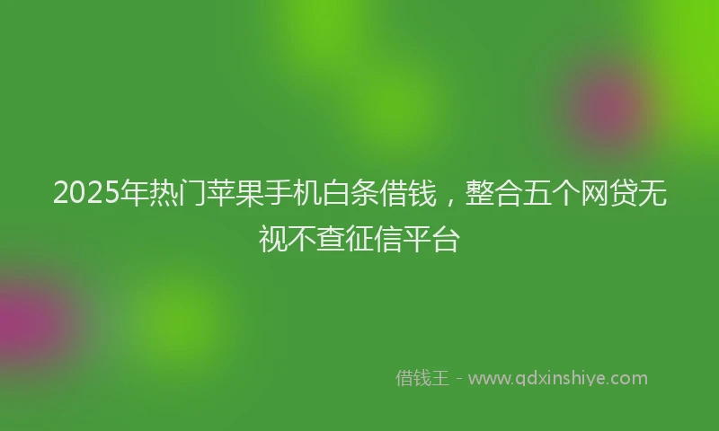 2025年热门苹果手机白条借钱，整合五个网贷无视不查征信平台