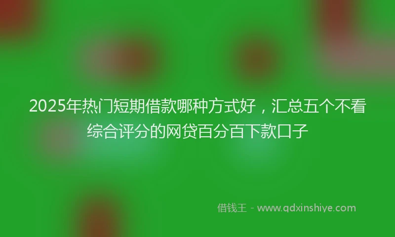 2025年热门短期借款哪种方式好，汇总五个不看综合评分的网贷百分百下款口子