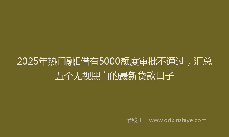 2025年热门融E借有5000额度审批不通过，汇总五个无视黑白的最新贷款口子