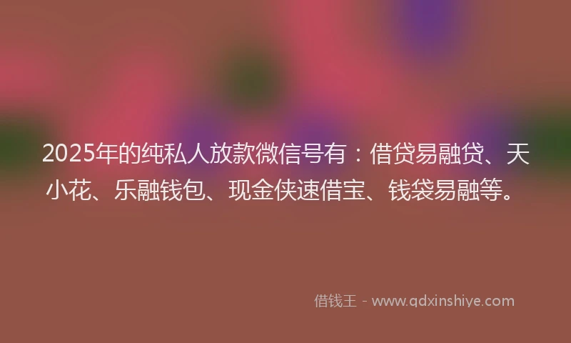 2025年的纯私人放款微信号有：借贷易融贷、天小花、乐融钱包、现金侠速借宝、钱袋易融等。