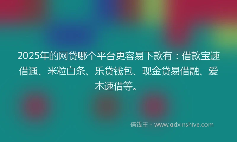 2025年的网贷哪个平台更容易下款有：借款宝速借通、米粒白条、乐贷钱包、现金贷易借融、爱木速借等。