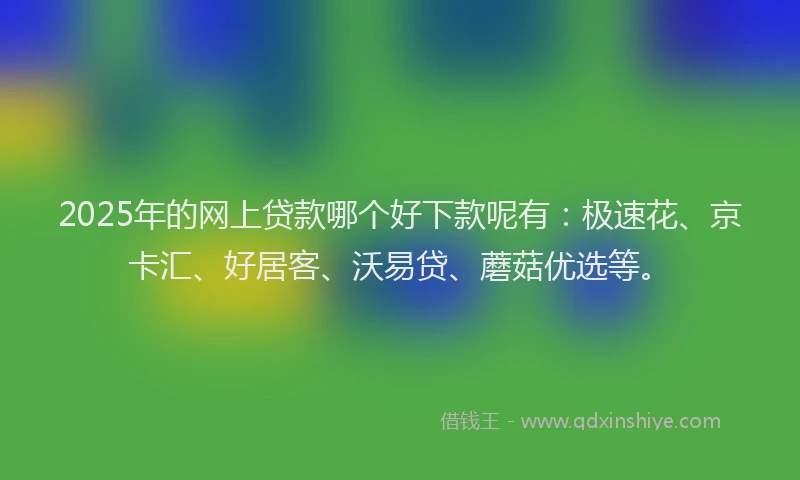 2025年的网上贷款哪个好下款呢有：极速花、京卡汇、好居客、沃易贷、蘑菇优选等。