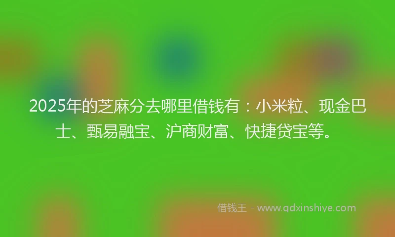 2025年的芝麻分去哪里借钱有：小米粒、现金巴士、甄易融宝、沪商财富、快捷贷宝等。