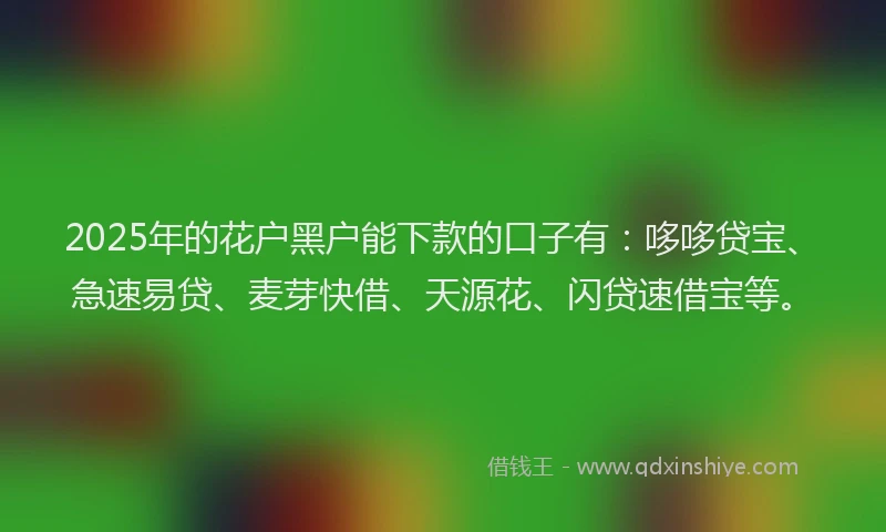 2025年的花户黑户能下款的口子有：哆哆贷宝、急速易贷、麦芽快借、天源花、闪贷速借宝等。