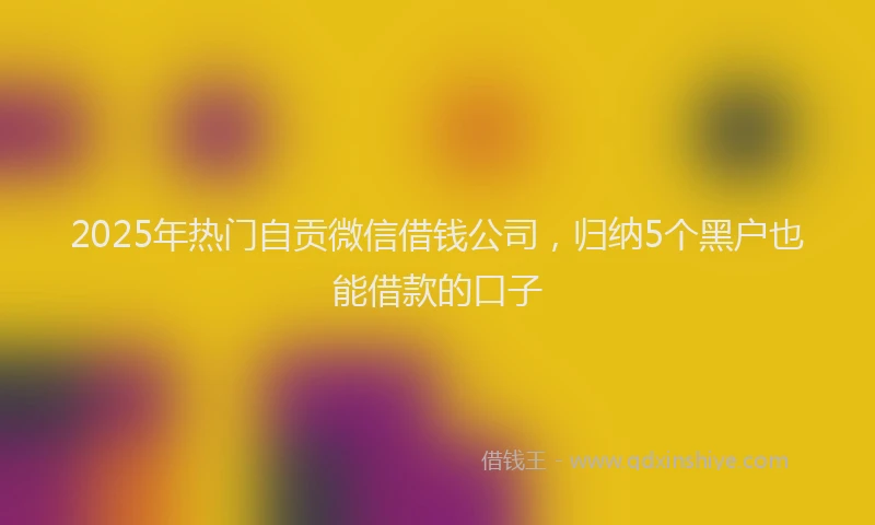 2025年热门自贡微信借钱公司，归纳5个黑户也能借款的口子