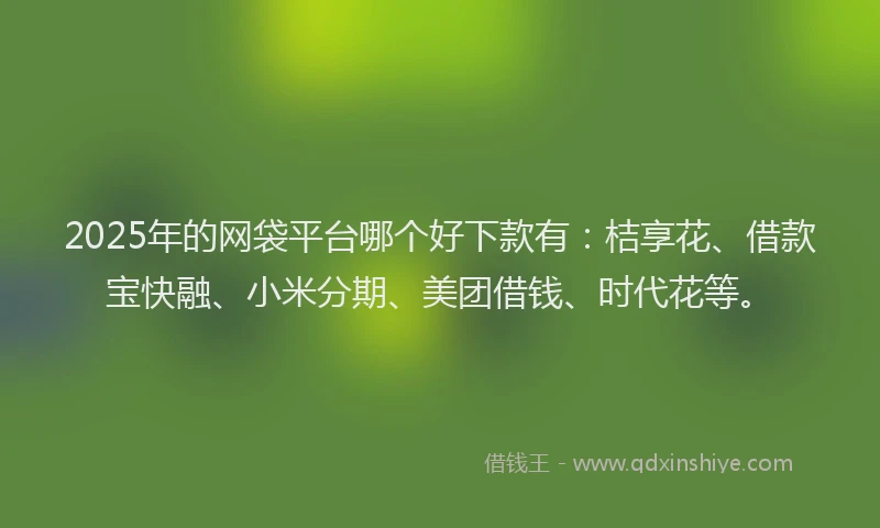 2025年的网袋平台哪个好下款有：桔享花、借款宝快融、小米分期、美团借钱、时代花等。