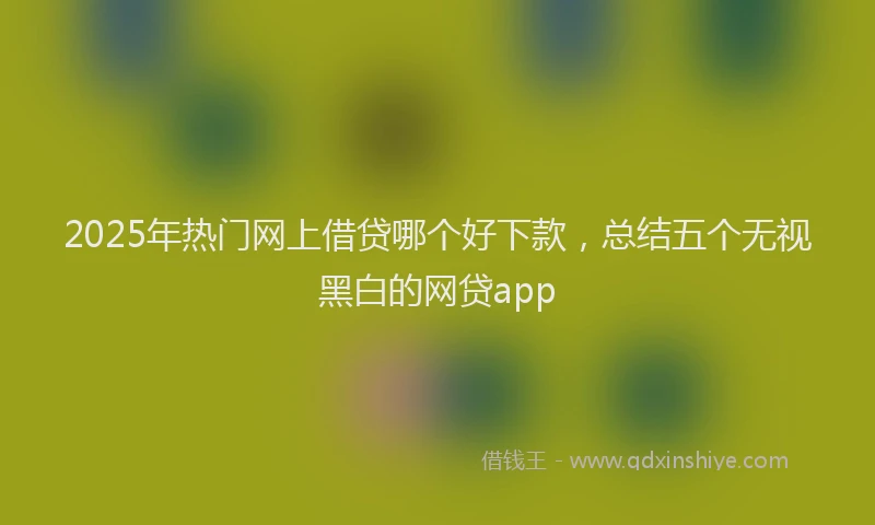 2025年热门网上借贷哪个好下款，总结五个无视黑白的网贷app