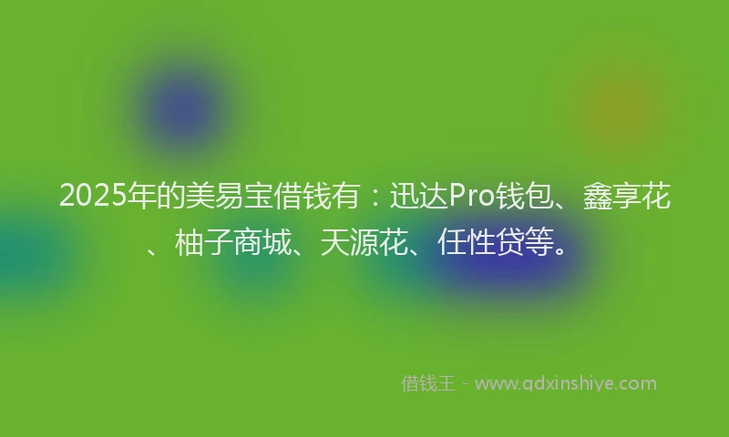 2025年的美易宝借钱有：迅达Pro钱包、鑫享花、柚子商城、天源花、任性贷等。