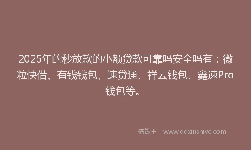 2025年的秒放款的小额贷款可靠吗安全吗有：微粒快借、有钱钱包、速贷通、祥云钱包、鑫速Pro钱包等。