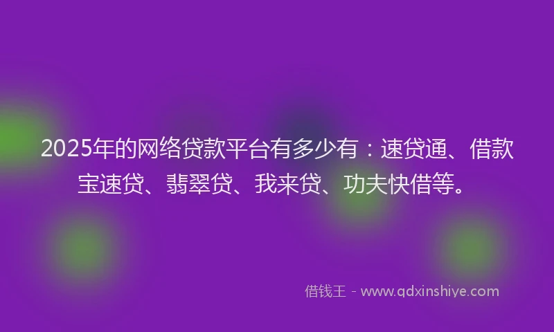 2025年的网络贷款平台有多少有：速贷通、借款宝速贷、翡翠贷、我来贷、功夫快借等。