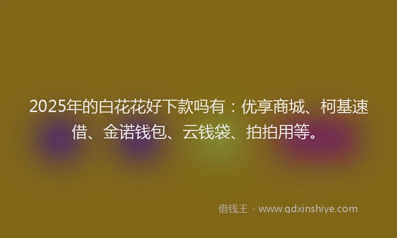 2025年的白花花好下款吗有：优享商城、柯基速借、金诺钱包、云钱袋、拍拍用等。