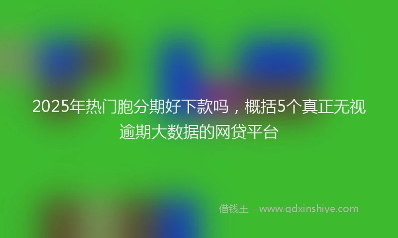 2025年热门胞分期好下款吗，概括5个真正无视逾期大数据的网贷平台