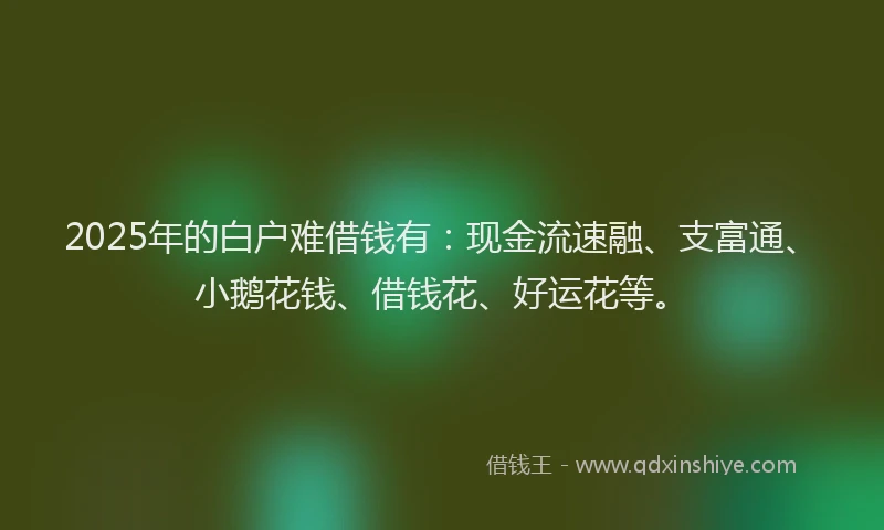 2025年的白户难借钱有：现金流速融、支富通、小鹅花钱、借钱花、好运花等。