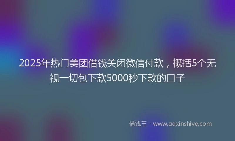 2025年热门美团借钱关闭微信付款，概括5个无视一切包下款5000秒下款的口子