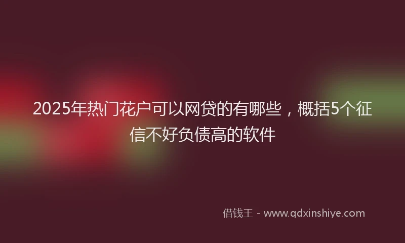 2025年热门花户可以网贷的有哪些，概括5个征信不好负债高的软件