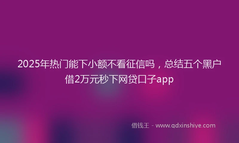 2025年热门能下小额不看征信吗，总结五个黑户借2万元秒下网贷口子app