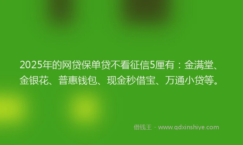 2025年的网贷保单贷不看征信5厘有：金满堂、金银花、普惠钱包、现金秒借宝、万通小贷等。