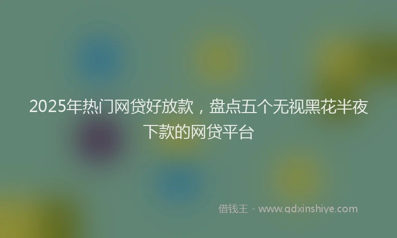 2025年热门网贷好放款，盘点五个无视黑花半夜下款的网贷平台