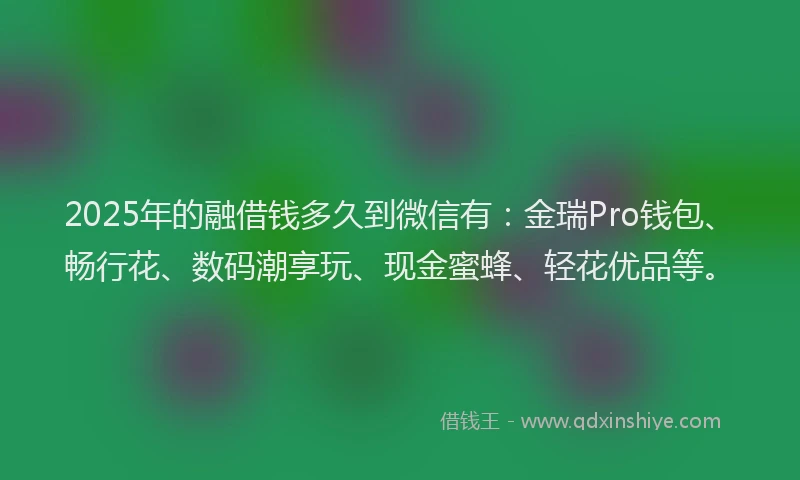 2025年的融借钱多久到微信有：金瑞Pro钱包、畅行花、数码潮享玩、现金蜜蜂、轻花优品等。