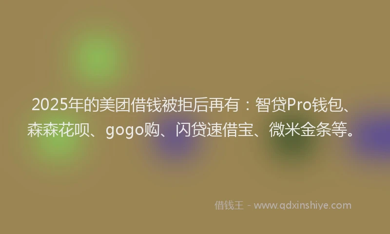 2025年的美团借钱被拒后再有：智贷Pro钱包、森森花呗、gogo购、闪贷速借宝、微米金条等。