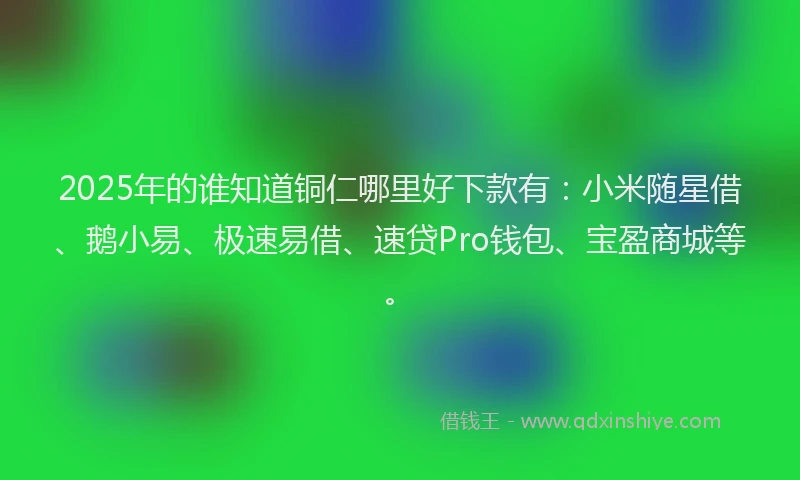 2025年的谁知道铜仁哪里好下款有：小米随星借、鹅小易、极速易借、速贷Pro钱包、宝盈商城等。