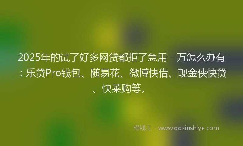 2025年的试了好多网贷都拒了急用一万怎么办有：乐贷Pro钱包、随易花、微博快借、现金侠快贷、快莱购等。