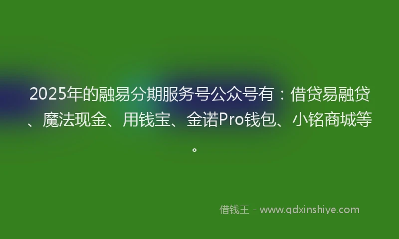 2025年的融易分期服务号公众号有：借贷易融贷、魔法现金、用钱宝、金诺Pro钱包、小铭商城等。